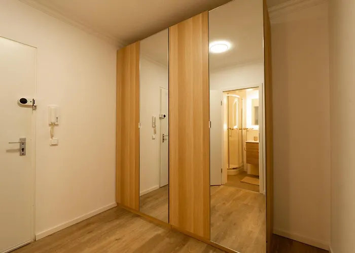 Forest Oasis Near Frankfurt *