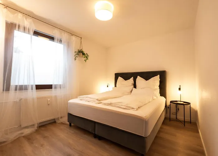 Forest Oasis Near Frankfurt